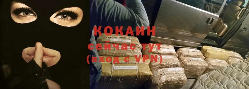 цены   Полтавская  COCAIN VHQ 