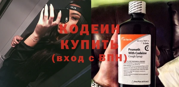 стафф Осинники