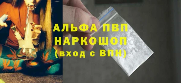 стафф Осинники
