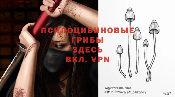 гашиш Дмитров