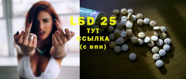 стафф Осинники