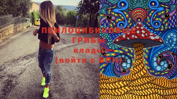 стафф Осинники