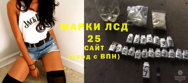 стафф Осинники