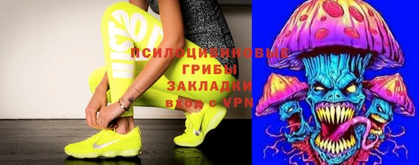 стафф Осинники
