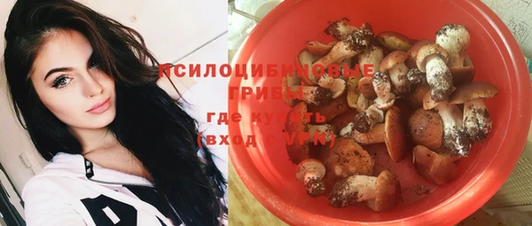 стафф Осинники