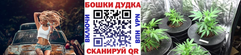 Каннабис VHQ наркота нарко площадка официальный сайт Полтавская
